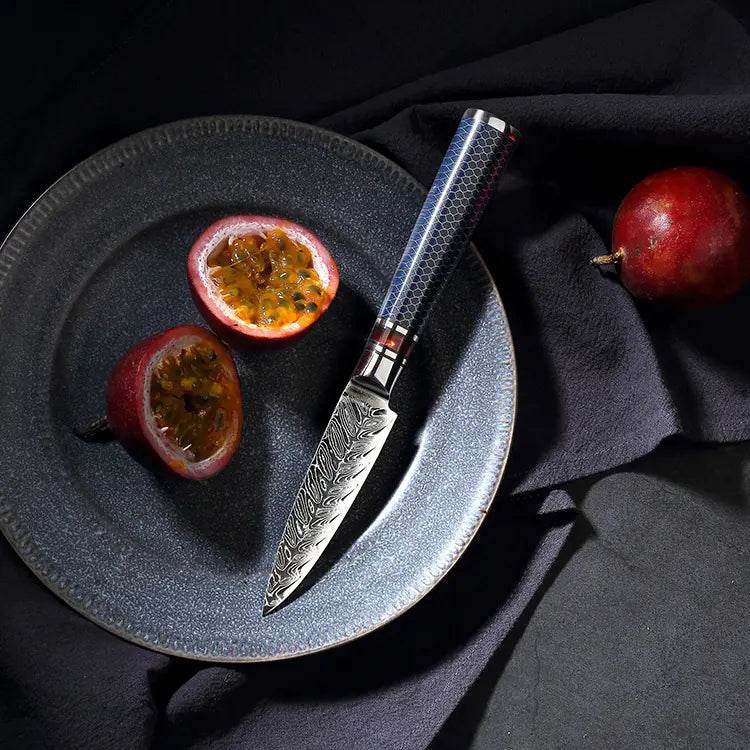 67-Layer Damascus Stainless Steel Chef Knife Set