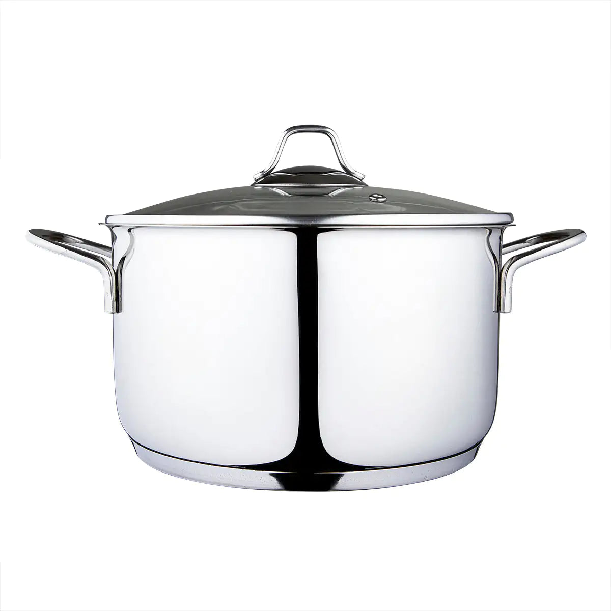 Serenk Modernist Stainless Steel Stock Pot
