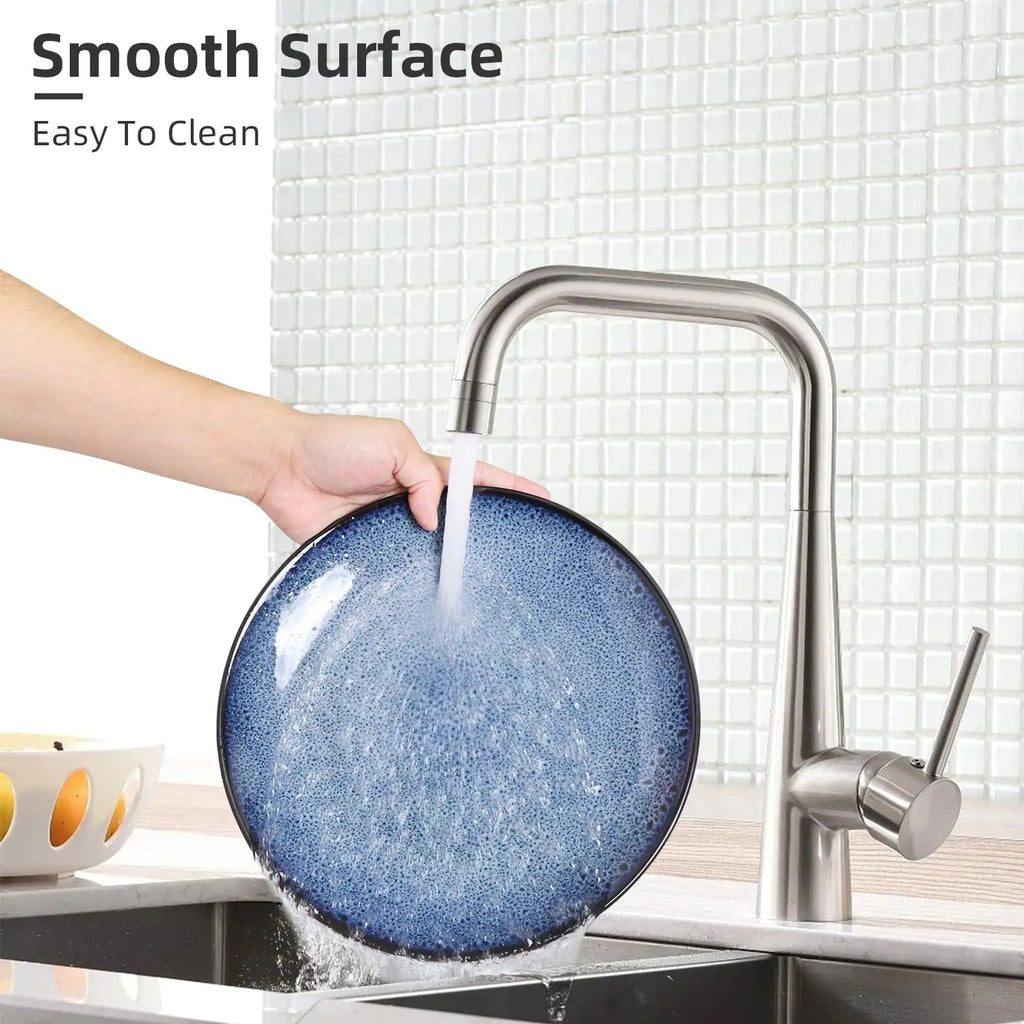 Bleu Steak Plate Set